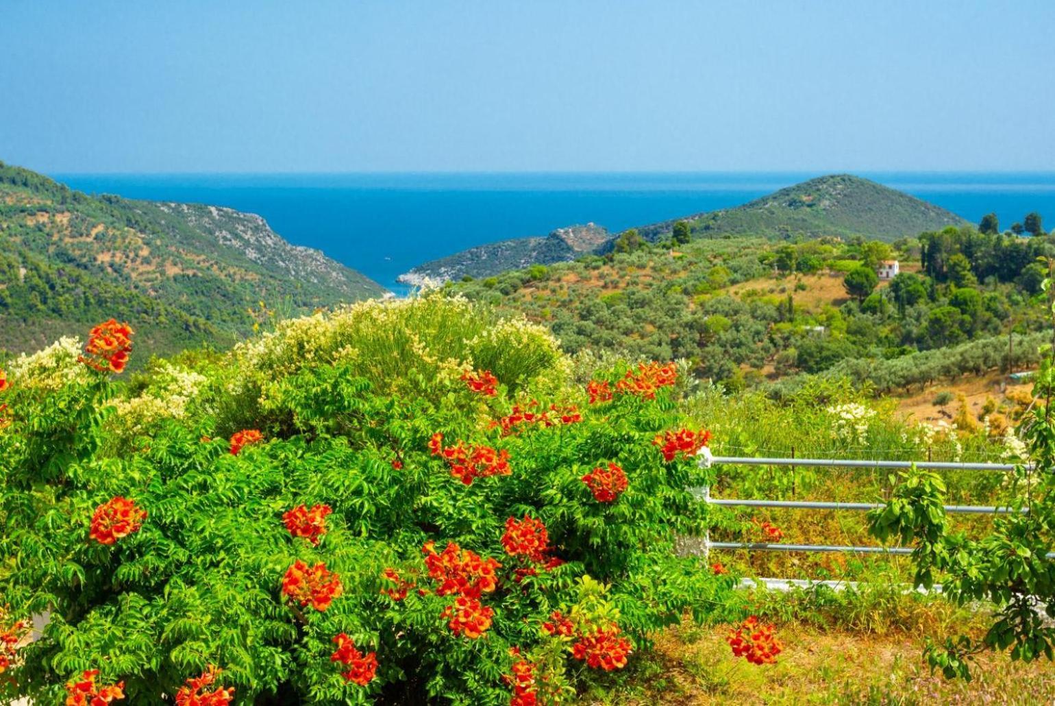 Villa Glafki Panormos  Kültér fotó
